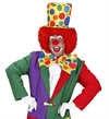 15656_1817b-clown-fluga