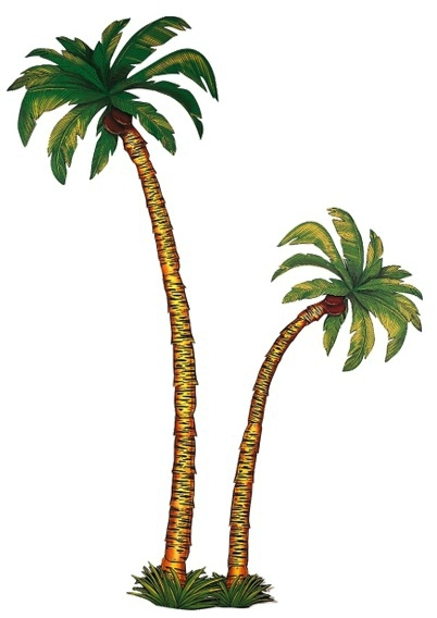 13150_503-hawaii-palmtrad